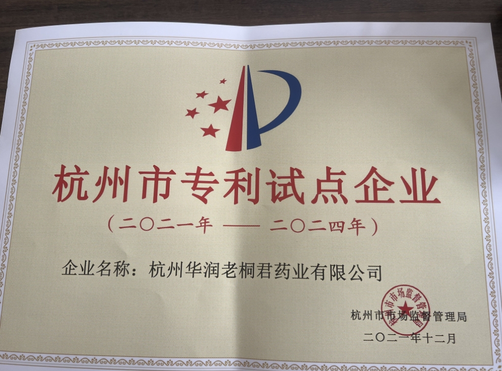 杭州市专利试点企业