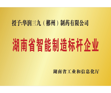 湖南省智能制造标杆企业
