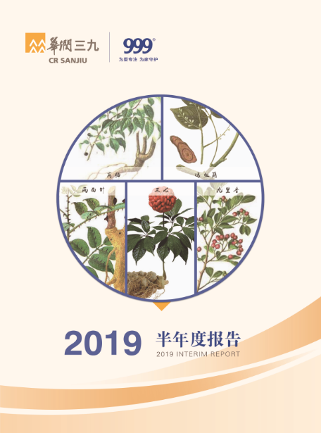 华润三九：2019年半年度报告