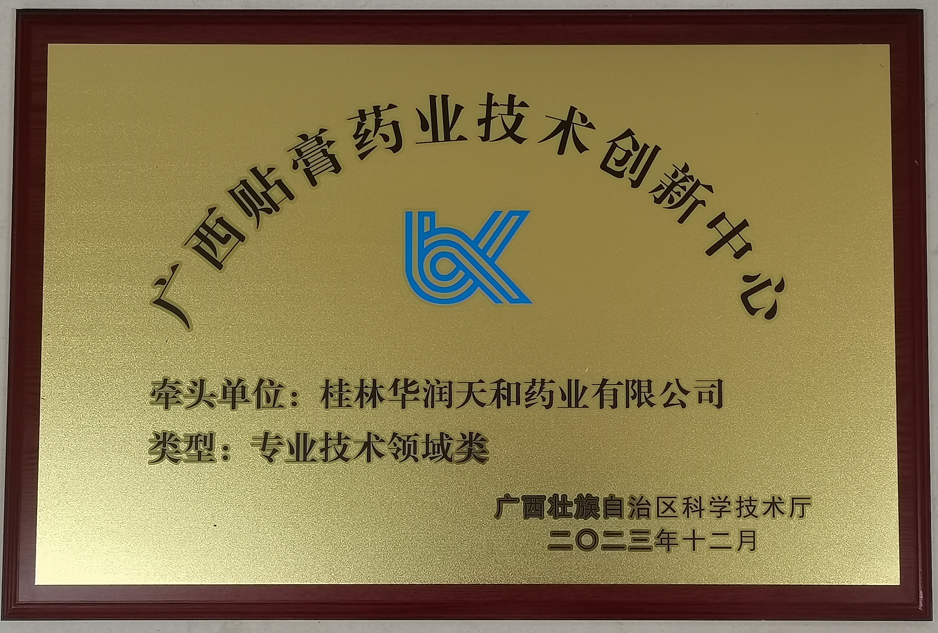 广西贴膏药业技术创新中心