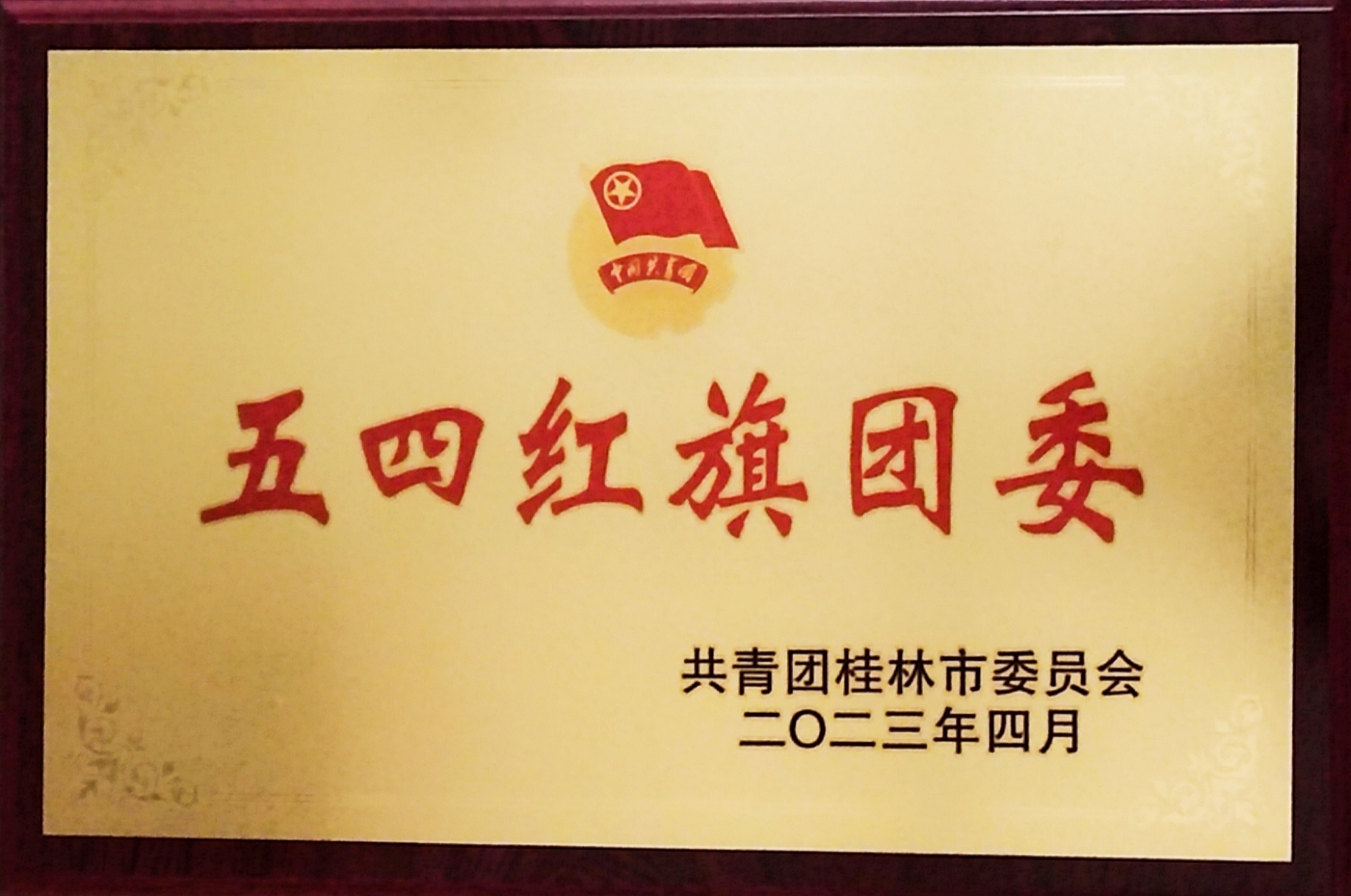 五四红旗团委